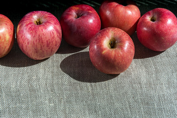 Ripe pink apples on a canvas, top view