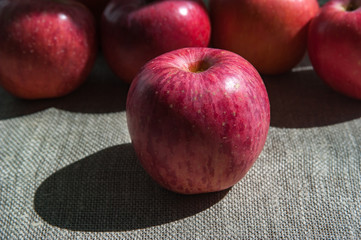 Ripe pink apples on a canvas