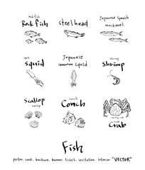 해산물 일러스트 / 손으로 그린 수산물 그림