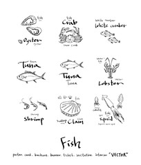 해산물 일러스트 / 손으로 그린 수산물 그림