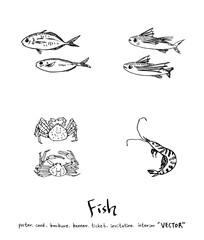 해산물 일러스트 / 손으로 그린 수산물 그림