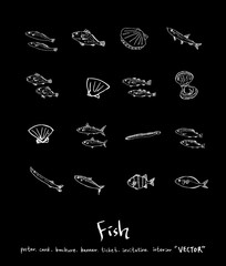 해산물 일러스트 / 손으로 그린 수산물 그림