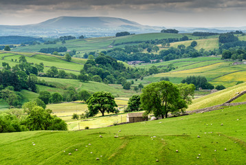 Fototapeta na wymiar A view of the Yorkshire Dales, near Malham.