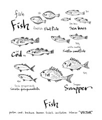 해산물 일러스트 / 손으로 그린 수산물 그림