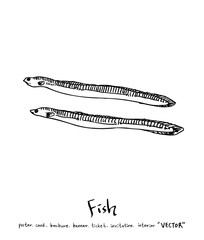 해산물 일러스트 / 손으로 그린 수산물 그림