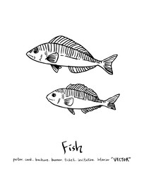 해산물 일러스트 / 손으로 그린 수산물 그림