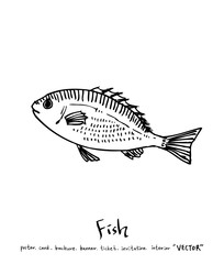 해산물 일러스트 / 손으로 그린 수산물 그림