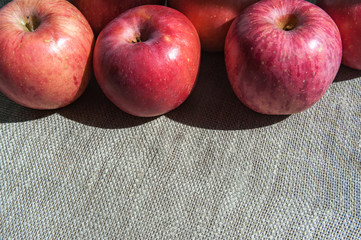 Ripe pink apples on a canvas background