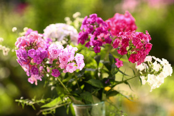 pink flox flowers close up photo