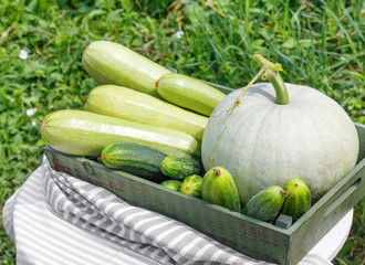 Harvest of ripe cucumber squash and pumpkin in  wooden box on  wooden table