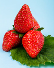 juicy fresh strawberry on a delicately blue background