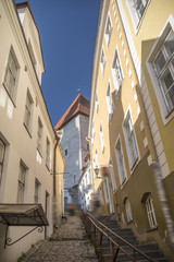 beautiful  photos of Tallinn