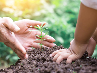 Kid and mother hands planting young tree on the black soil,save world concept
