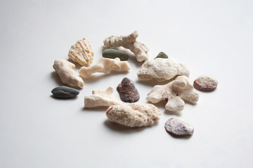 Red sea stones and shells collection on white background