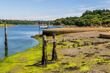Fototapeta na wymiar Beaulieu River along the historic shipbuilding village Buckler's hard in the New forest in Hampshire, England, United Kingdom