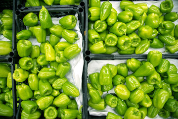lot of green bell peppers in plastic boxes. fresh organic vegetables with vitamins