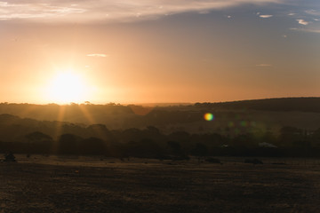 Australian Landscape Sunrise