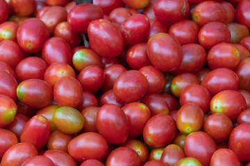 Farmers' market: fresh tomatoes for sale