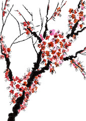 Fototapeta premium A branch of a blossoming tree. Pink flowers of sakura . Watercolor and ink illustration in style sumi-e, u-sin. Oriental traditional painting. Isolated on white background.