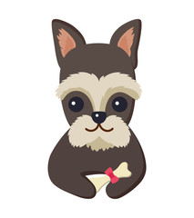 Dog Poster and Pet with Bone Vector Illustration