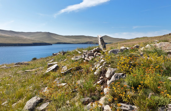 Lake Baikal in summer. Olkhon Island. The ruins of ancient Kurykan settlement on Khorgoy peninsula - archeological monuments and a local tourist landmark. Yellow wildflowers of sedum aizoon