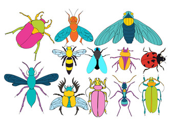  set of insects, children