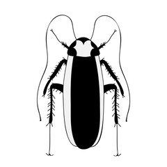 vector, isolated, insect cockroach, silhouette