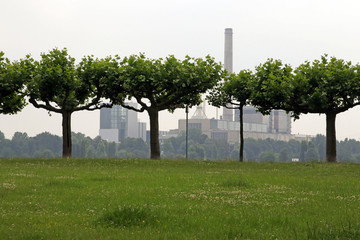 kraftwerk hinter bäumen