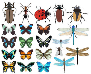 vector, isolated, insects set