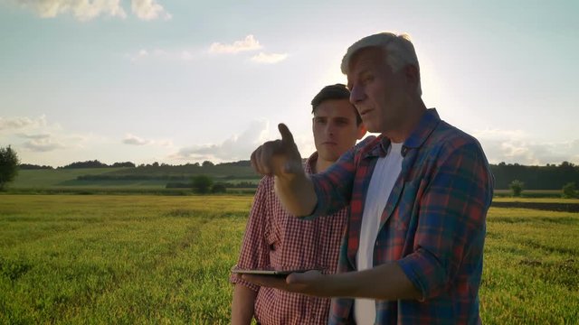 Old dad with his son planning cultivating and holding tablet, standing on wheat field and telling plan, beautiful view in background