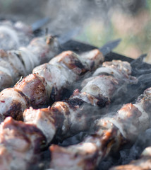 meat on skewers roasted on coals