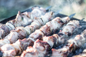 meat on skewers roasted on coals