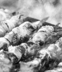 meat on skewers roasted on coals