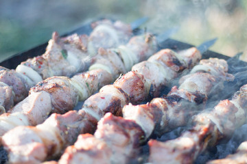 meat on skewers roasted on coals
