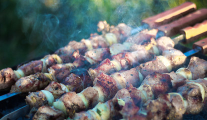 meat on skewers roasted on coals