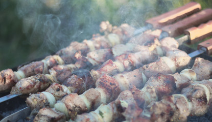 meat on skewers roasted on coals