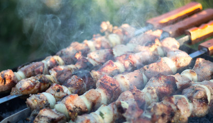 meat on skewers roasted on coals