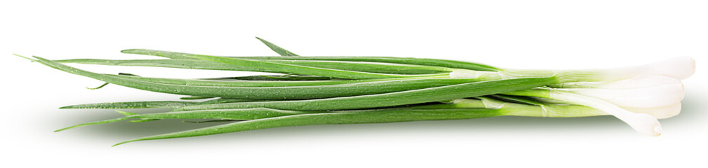 Bunch of green young onions