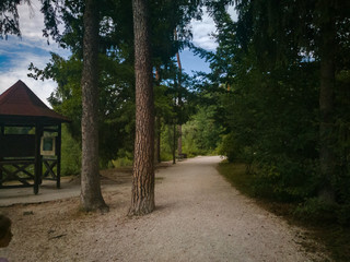 Sommer sonne strand und wald
