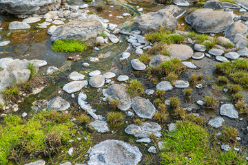 Rock on the water hot spring.