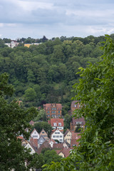 German houses hidden in a forest