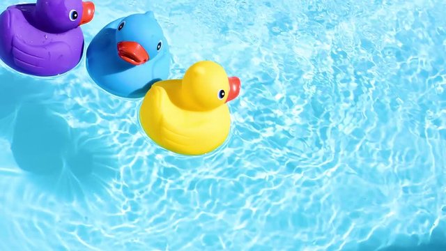 Yellow, blue and purple rubber ducks swim relaxed from top to bottom, floating casually and relaxed on the sparkling and crystal-clear water of a pool