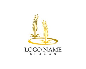 Fototapeta na wymiar Rice wheat icon logo vector template