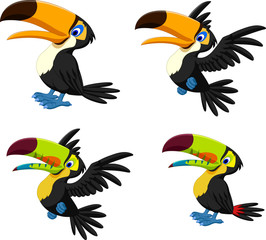 Cartoon toucan collection set