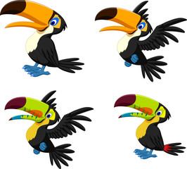 Obraz premium Cartoon toucan collection set