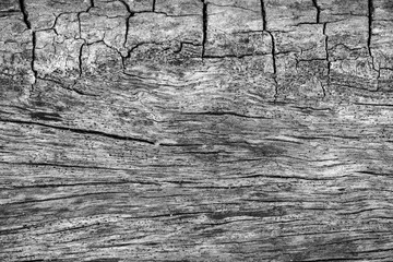 old wood texture background