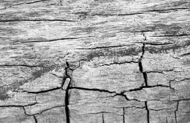 old wood texture background