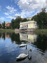 Patriarshiye Ponds (Patriarch's Ponds), summer 2018