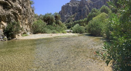 Prevelli Lake Palm Beach