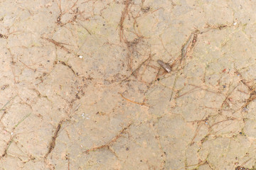 Dirty peat soil texture background